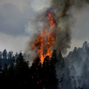 forest fire